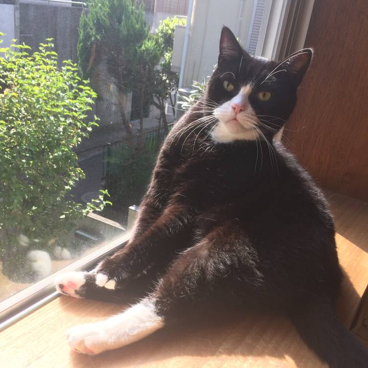 6b394524 2eb5 44ad ab74 aec2e077fc1b