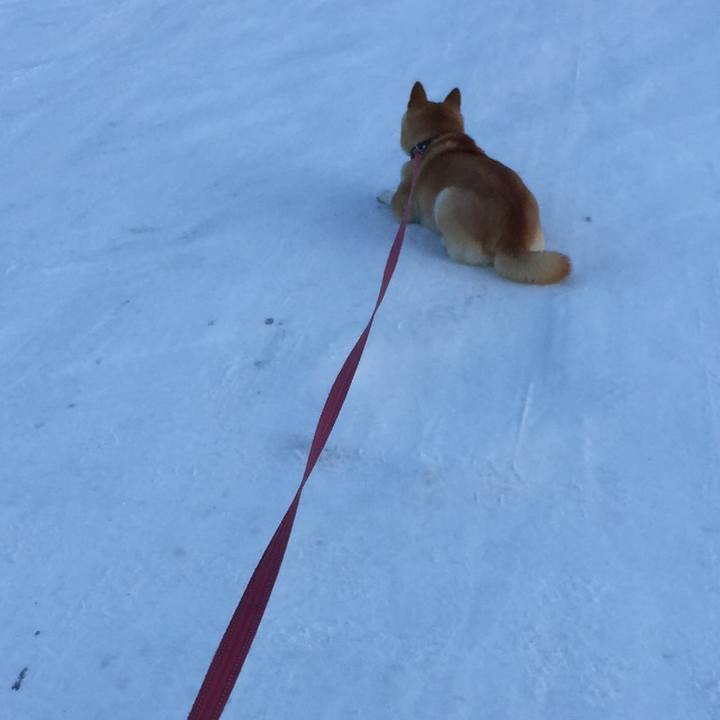 6b399bbd e466 4512 bf44 951f5fd71513