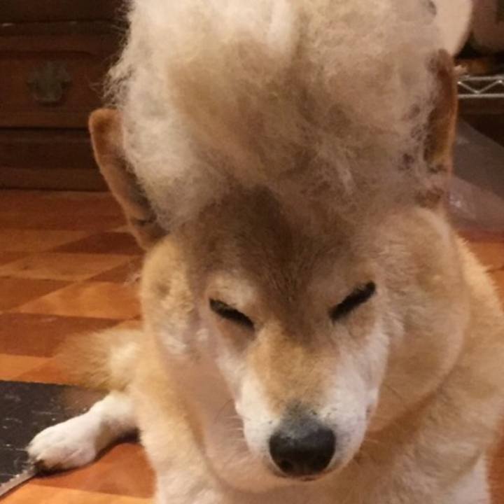 6b39e509 54cd 417b 8705 18e0aed0c25e