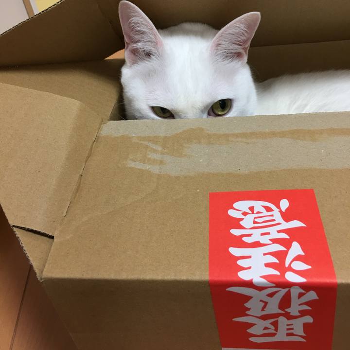 6b3a094a 3882 47ad 9c95 5610e2ef85e5