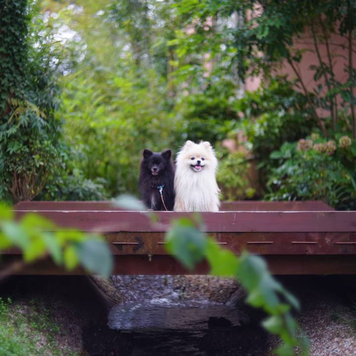 6b3a805b 9758 40aa 8c08 6edc29d6be00