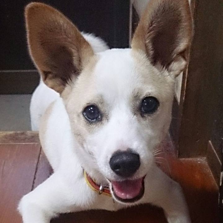 6b3b3844 0a74 4224 866f ac4df0a007a4