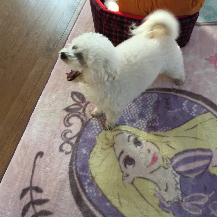 6b3b73e8 21ed 4db4 8c0e ae6584ab1231