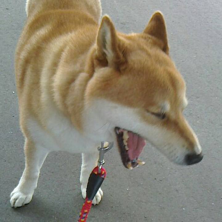 6b3b9094 91d5 4679 b533 93186d2aead3