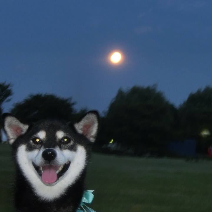 6b3bfb71 d4f3 4253 bf27 9f6370ac9f7b