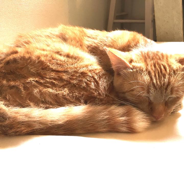 6b3c726b 5cb1 48e7 bd89 540d63fa5db8