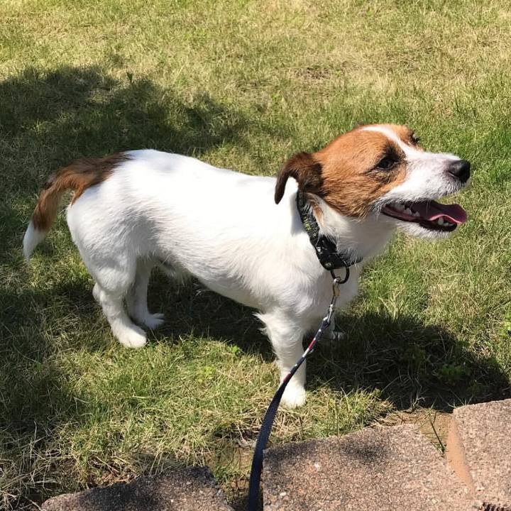 6b3ca38c d895 440f 9cc8 c8339a6d7c0b