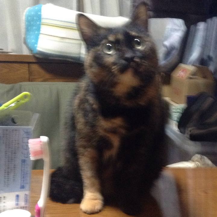 6b3d96a8 e451 42af 819d 49b2eaa0c4bd