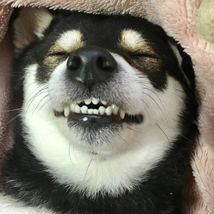 6b3ddc48 2779 455c a623 3855e3fc0018