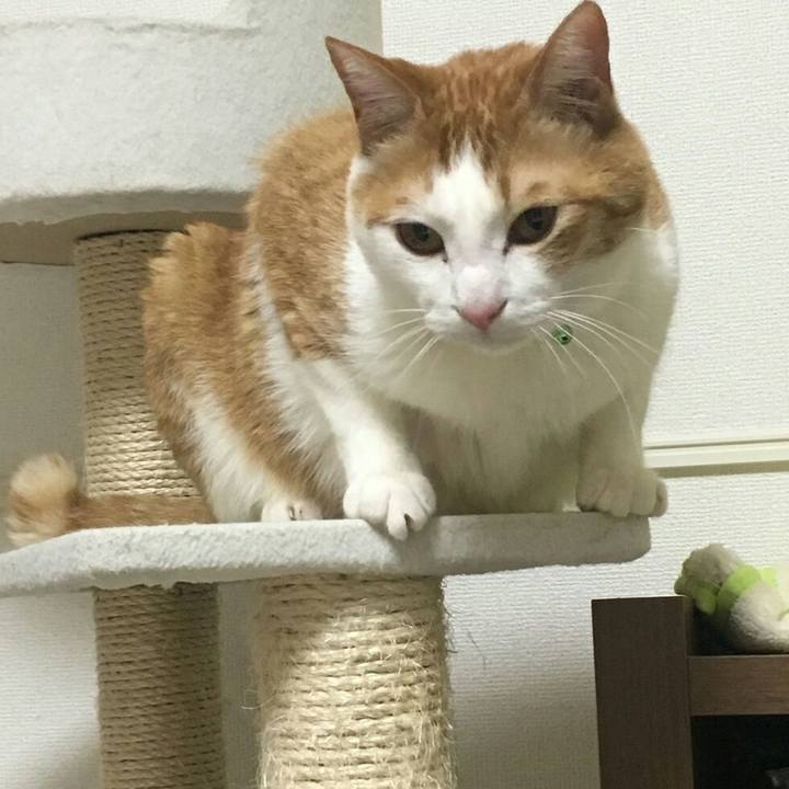 6b3e0ee2 253a 4a0c 8e92 ac0f61341c08