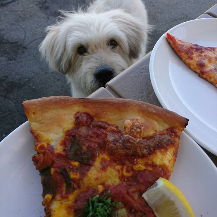 6b3e59c6 cf89 46e2 8773 f6fbd80ce0ec