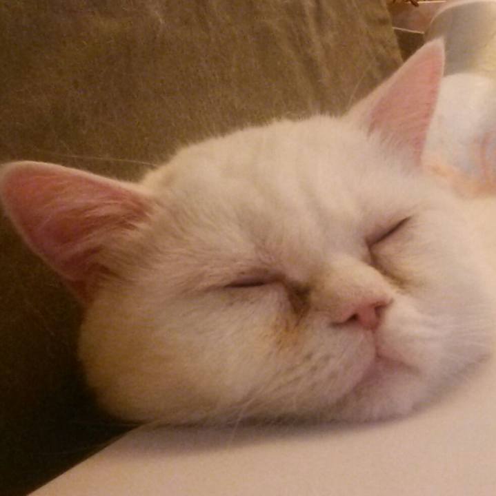 6b3ec713 f7fd 47bb bf2d f9d31ad8bcd0