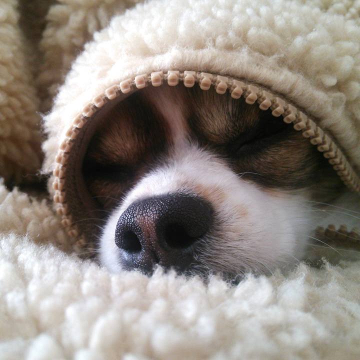 6b3f6cfc 67cb 4d14 b0a5 4c030a3536da