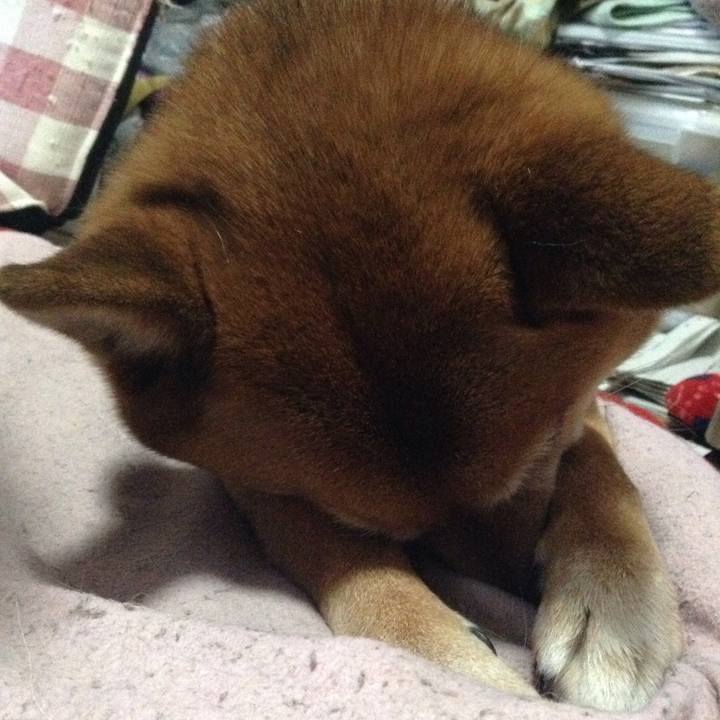 6b3f9df6 6b40 4dc9 8bcf a69fa577cd0c