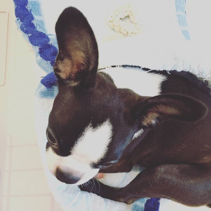 6b4136b7 4f34 45a6 a8b9 bb4b330d558e