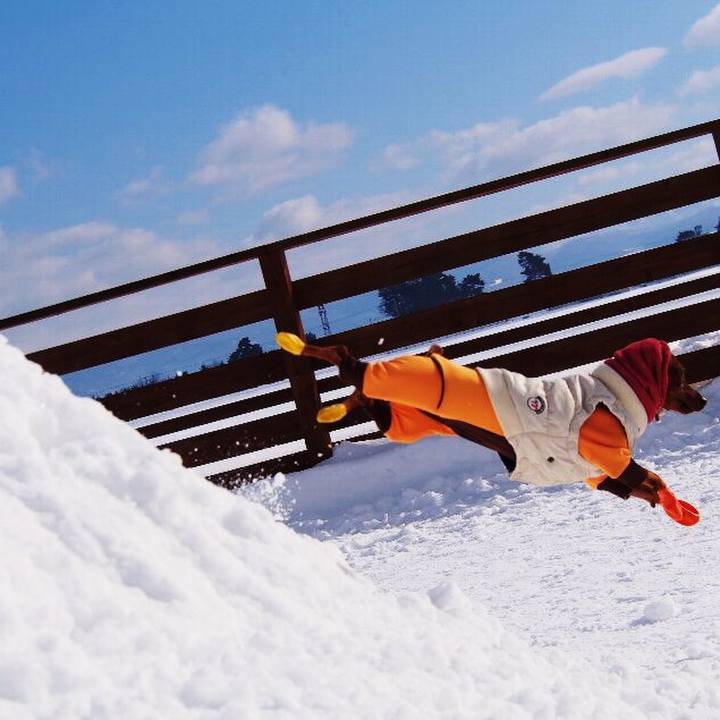 6b41b25f 2f72 471b a2e8 fc3b4f6a1a8b