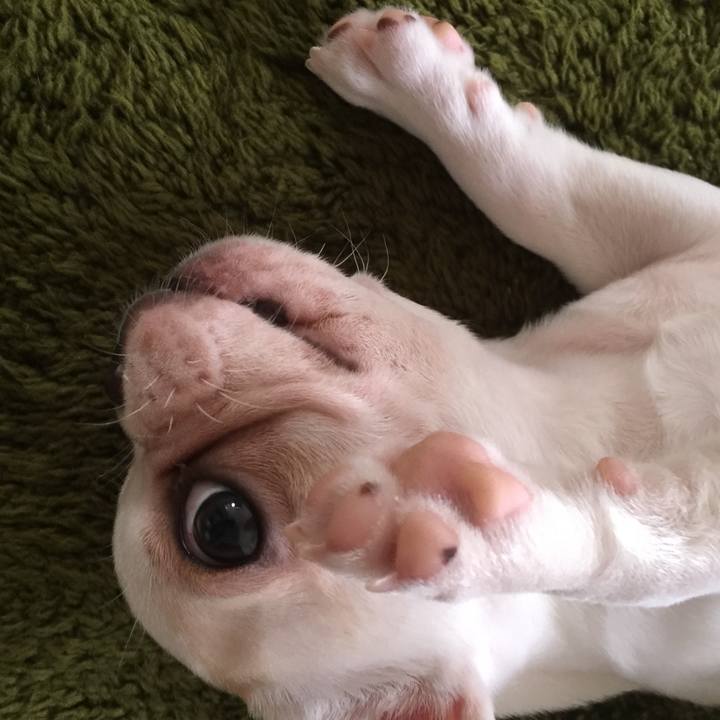 6b41bde2 1fda 47c7 bfd0 7250b88d15d2