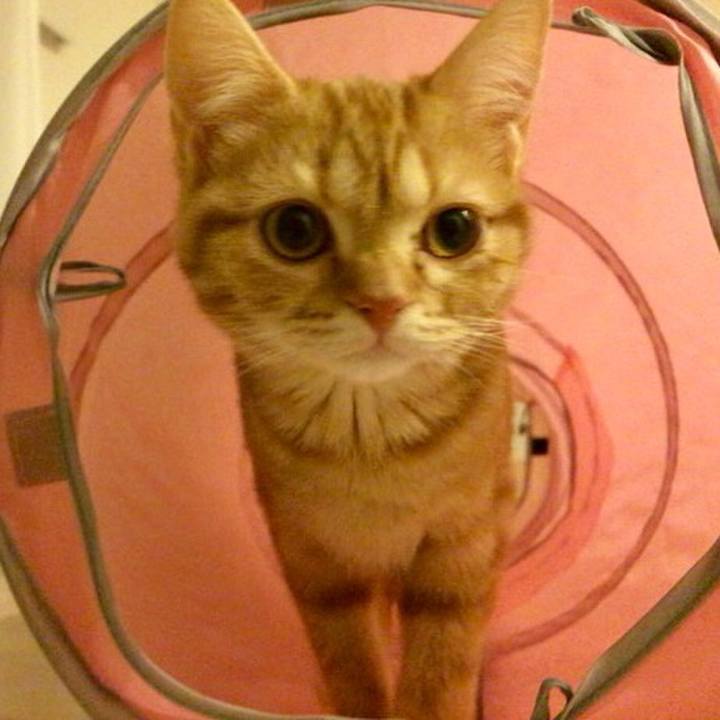 6b41e246 9bae 4cbf bfb0 dd4a27c41415