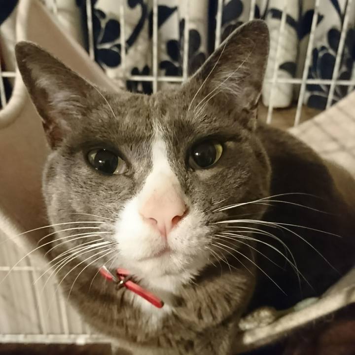 6b42583a 8966 498a a28e e94292cfae78