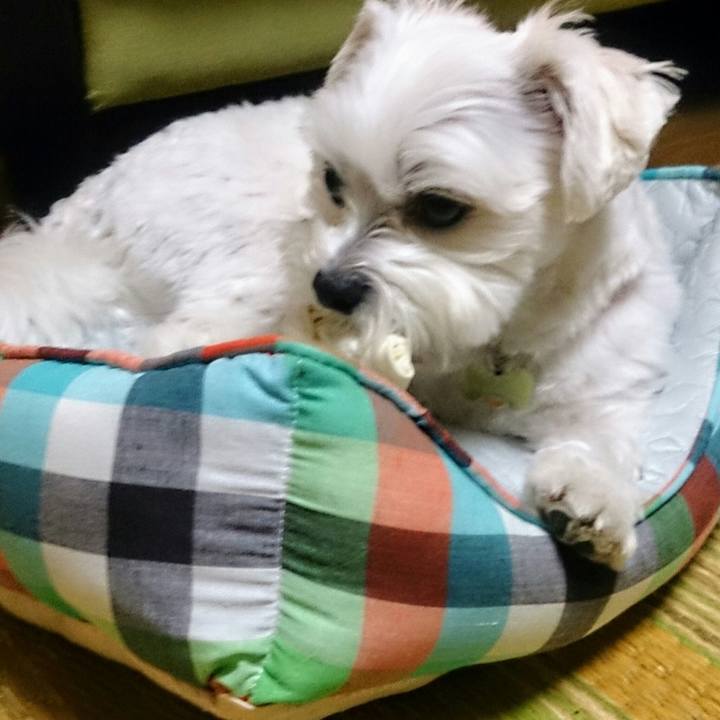 6b43584c 651d 4ca0 8bc0 d774500e351e