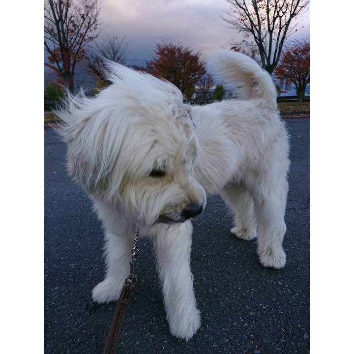 6b437286 4c09 49be b055 56ddd19de86b