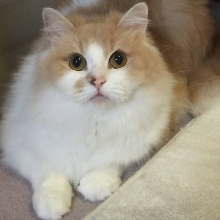 6b43b355 b61a 436c a8a3 230c00ae5c55