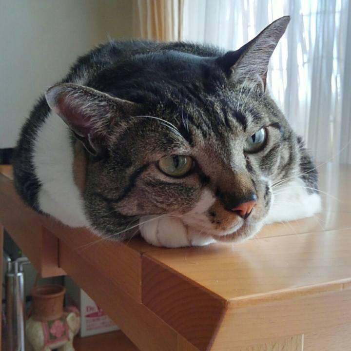 6b43d0a5 33bb 425b a79f 1b6c989c6ed8