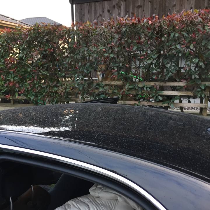 6b44ccee c336 403b 9590 21b80177bc46