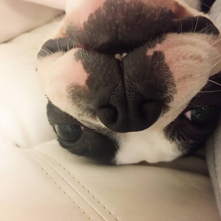 6b45baa4 72d9 41b0 9162 ba158d1f01db