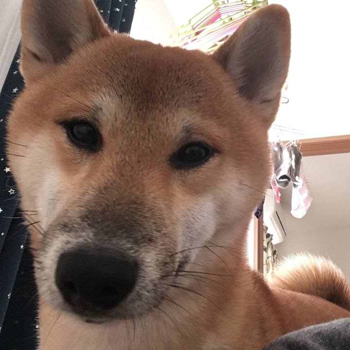 6b45bc42 6218 44af a833 e3b897d8f90a