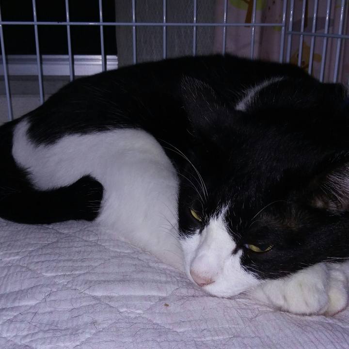 6b45ff01 223a 4c78 be17 8e1a75bc6402