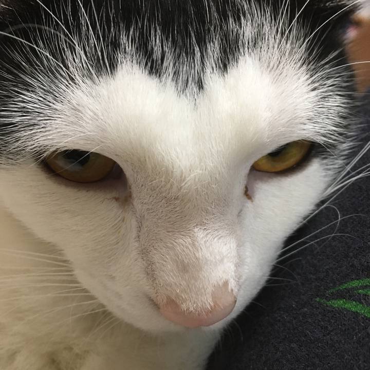 6b467594 1fbc 43c4 bce7 e88a800da438