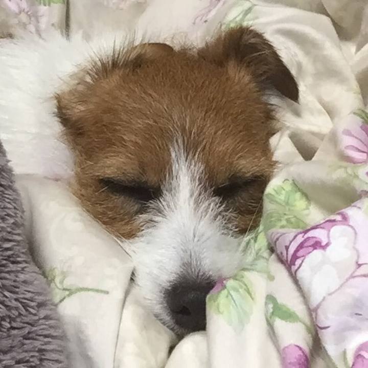 6b472afc bff3 4667 9394 3cc9066c840b