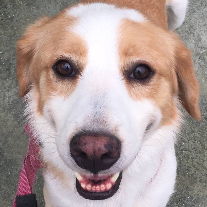 6b474f81 56aa 43f3 bd0a 411da27cd88b