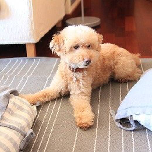 6b47857e c7f5 49d3 87bd 383c581bca44