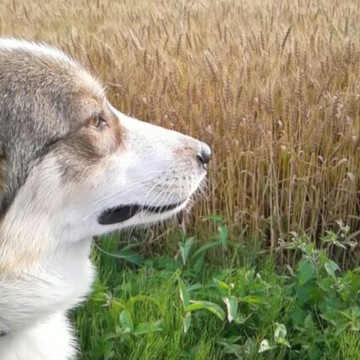 6b478e72 6294 4b1b ad67 ad870141d7b8