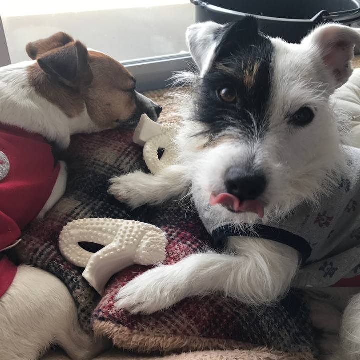 6b48d4f5 329a 4432 b906 8ba219077a23