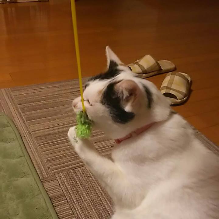 6b48db12 8af2 47df 8578 b8f7558d1897