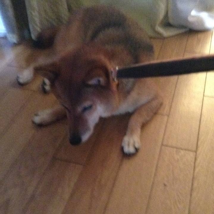 6b4907ae c57f 4f47 adbb 49843c648dc8