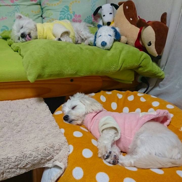 6b4940e6 d5d6 48ce a885 593a4fc140fc