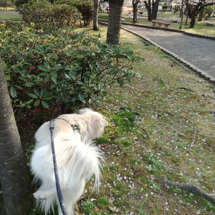 6b4a3eb2 9051 4df1 b14a 75d87c0f60e3