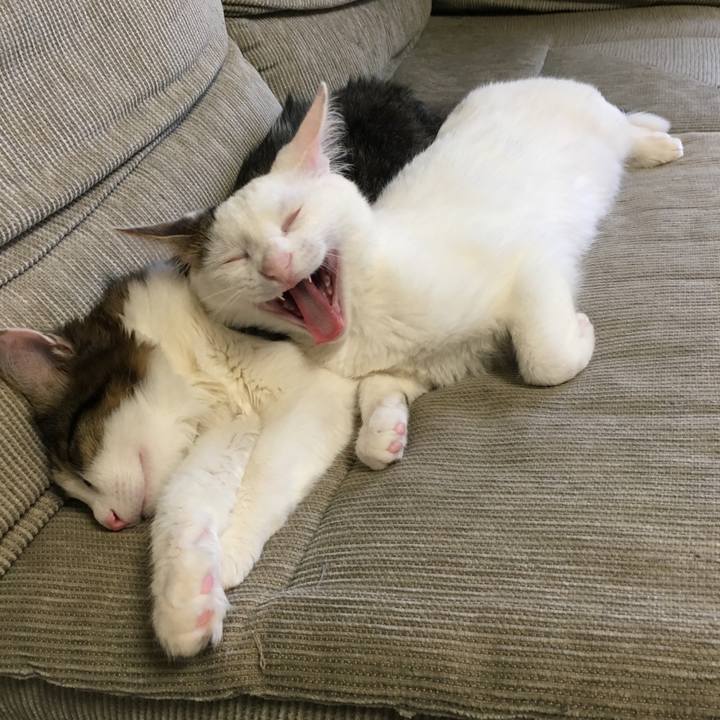 6b4a8070 86d7 4276 a16d 2b56af26fd26