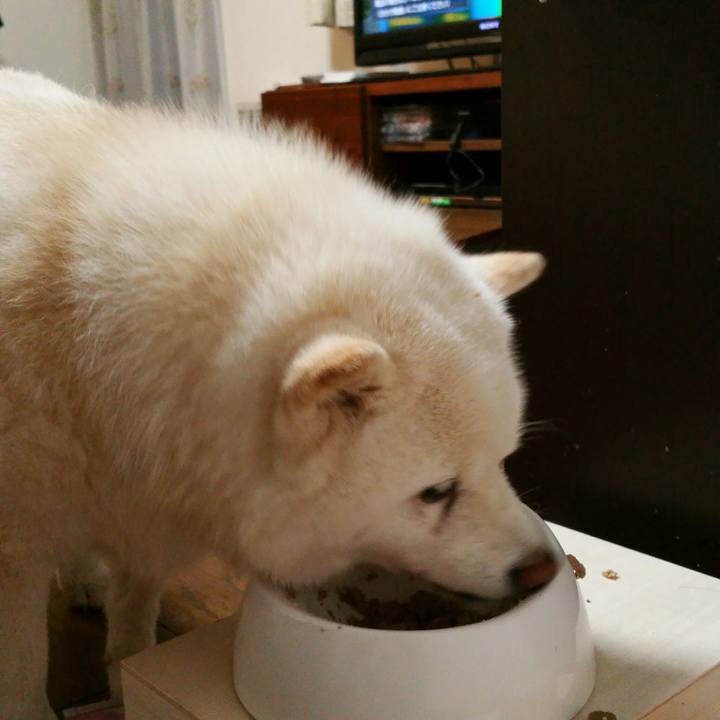 6b4b5de7 a203 4195 964c e26aa0f87dfe