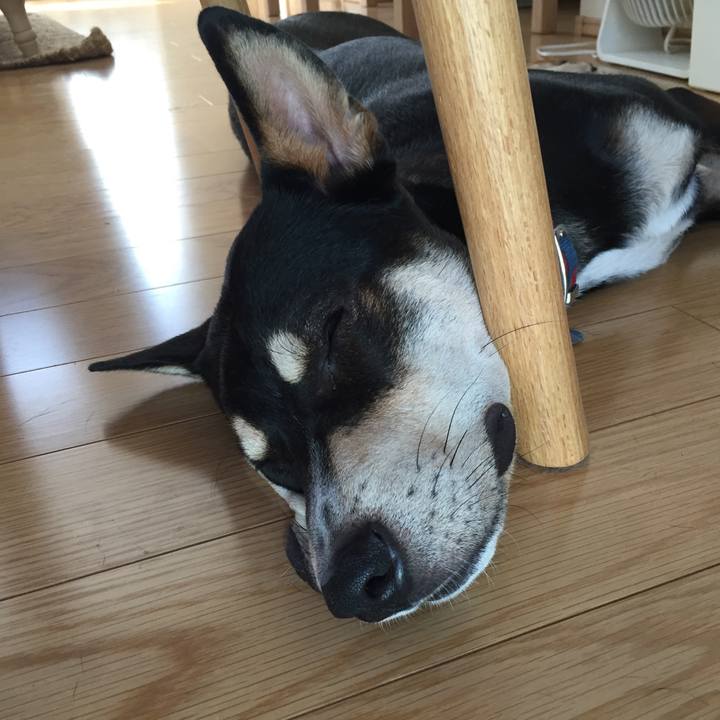 6b4c0dfd 2061 4637 a1c8 482bd07e20bf