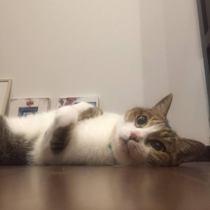 6b4c2e97 6082 4428 8a46 331bd28bb8d0