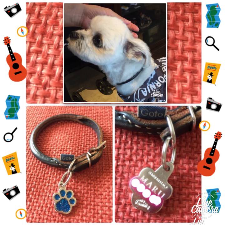 6b4cfa76 6f8c 424d 8f71 83c4beb63e1e