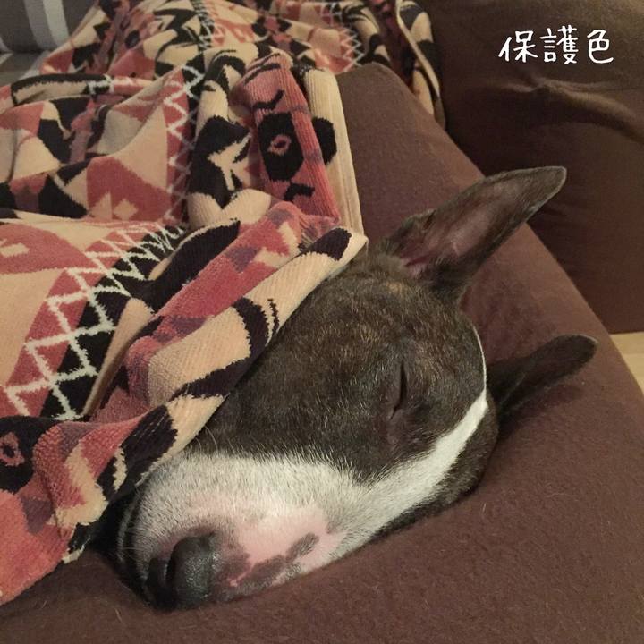 6b4dbaa3 faa6 4a30 b166 3d860d34ec71