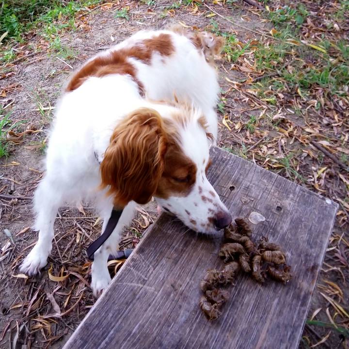 6b4dbdc4 a4ea 47a9 bd73 526fb86b5605