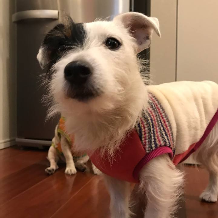 6b4f1105 8642 421f 8c84 6d1923ac47a0