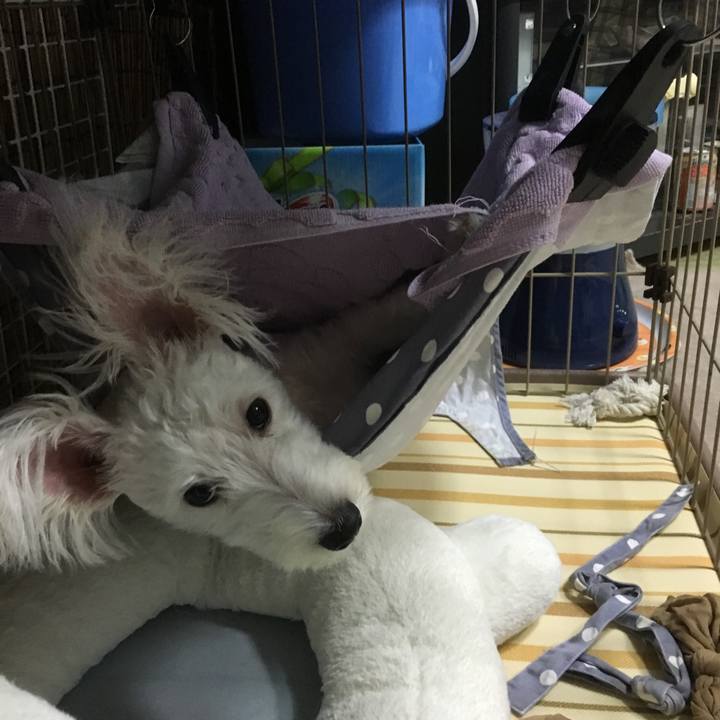 6b4f708b a7df 4e8d a446 a5e0d6fea97b